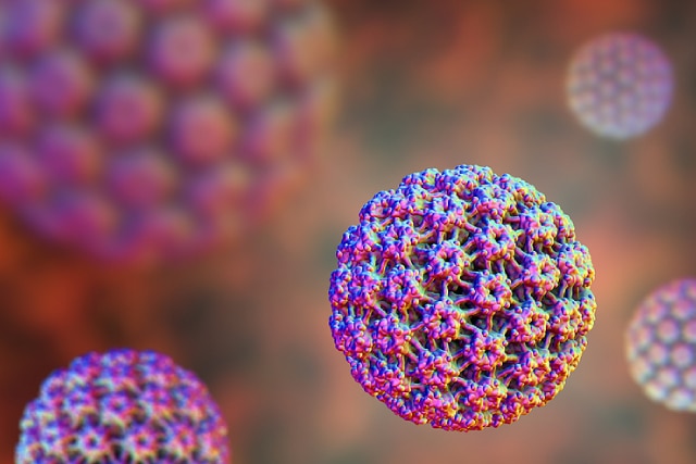 découvrez les enjeux autour du hantavirus et ses potentielles répétitions générales à bord. analyse, prévention et informations essentielles pour mieux comprendre ce phénomène.